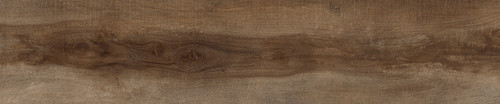 TS0446.jpg