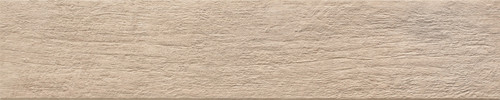 TS0450.jpg