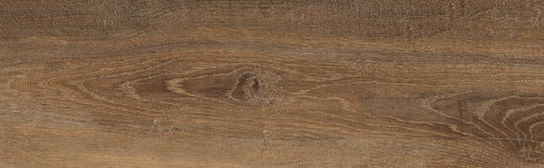 TS0481.jpg