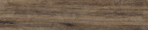 TS0447.jpg
