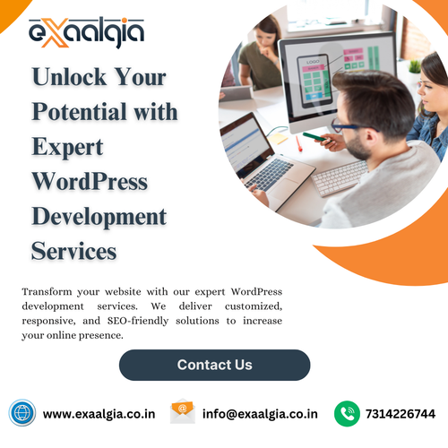 WordPress development services.png