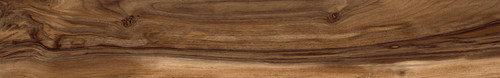 NOCE 15x100 HD.jpg