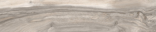 TORTORA 20x100 HD.jpg