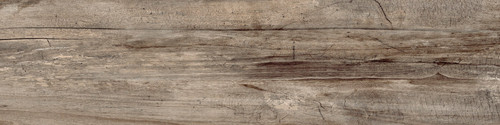 CENERE 15x61 HD.jpg