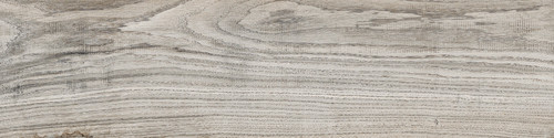 TORTORA 15x61 HD.jpg