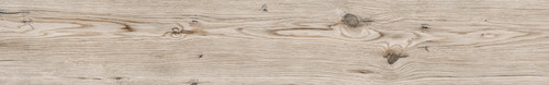 TORTORA 15x100 HD.jpg