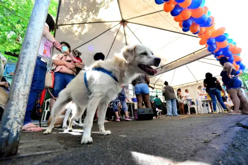 17 01 2023 vacinao gratuita para ces no parque da cidade foto jefferson peixoto secom pms 34