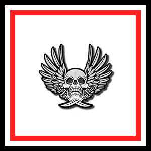 31FbHuXiCBL. SX300 SY300 QL70 FM.jpg