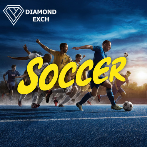 Soccer Sensation : Celebrating The Sport.jpg