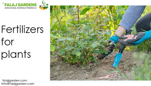 Fertilizers for plants.jpg