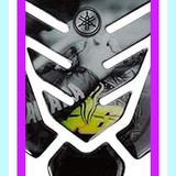 41nuDYnzr L. SY300 SX300