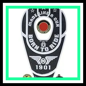 517fgnU emL. SX300 SY300 QL70 FM.jpg