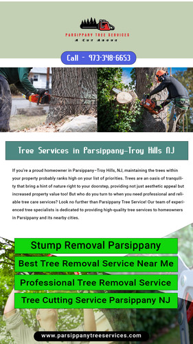 Stump Removal Parsippany.jpg