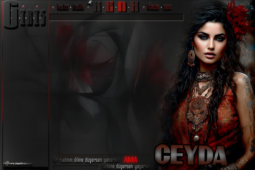 MELEK BİR kadının CEYDA.jpg