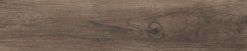 BROWN 20X100 HD.jpg