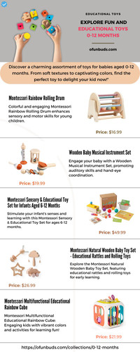 Explore Fun and Educational Toys 0 12 Months.jpg
