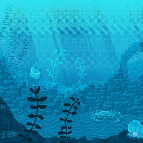 fondo.jpg