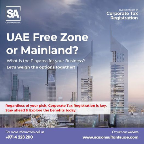Unlocking Your Business Potential: UAE Free Zone or Mainland.jpg