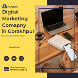 Digital Marketing Comapny