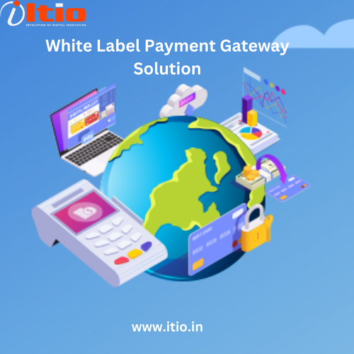 White Label Payment Gateway Solution.png