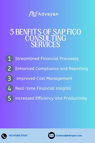 SAP FICO consulting services.jpg