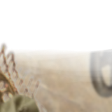 Untitled1172 20240627183719