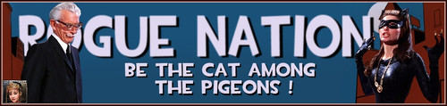 Napier Banner.jpg