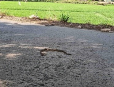 Jln Pariwisata Macanda.jpg