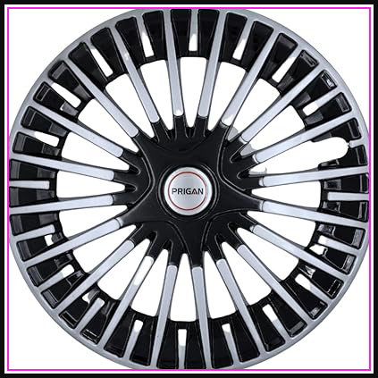 61IaSBVT8dL. AC CR0,0,0,0 SX451 SY423 .jpg