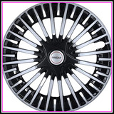61IaSBVT8dL. AC CR0,0,0,0 SX451 SY423 