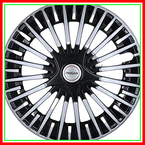 61IaSBVT8dL. AC CR0,0,0,0 SX301 SY283 .jpg