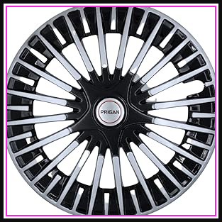 61IaSBVT8dL. AC CR0,0,0,0 SX313 SY328 .jpg