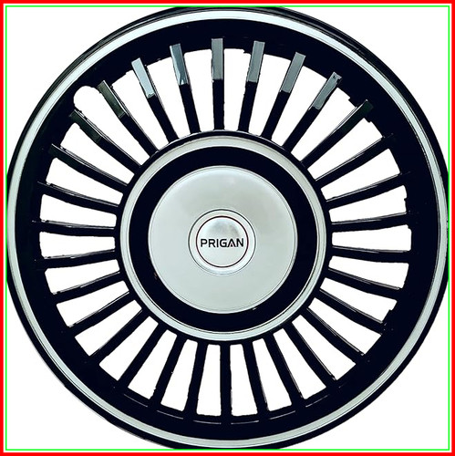 81 L+qnPfhL. AC CR0,0,0,0 SX704 SY660 .jpg