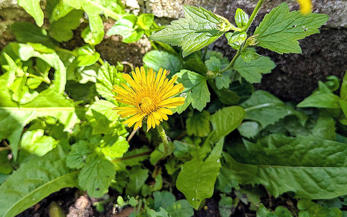 PXL 20240625 104343126.jpg