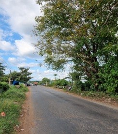 Jln Desa Sailong.jpg