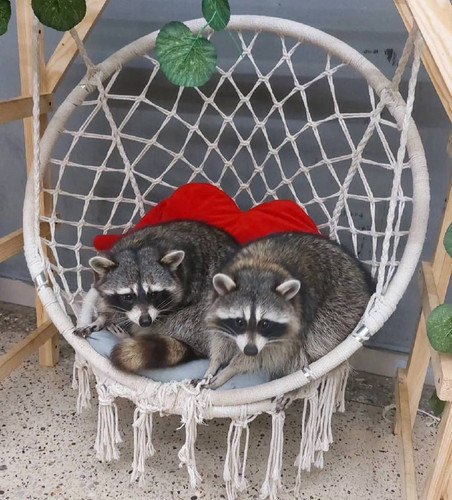 e0kEiQLi GySQh7lLsofG8IiMOixCtypM5CkF6awuMV1Kc0eQGBqhTzA7 WssR7TOaCb4GeV s7EIqrcm UUtn3g41su7E4ZTMVK.jpg