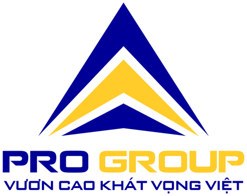 LOGO PRO GROUP.png