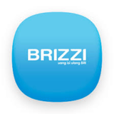 brizzi.png