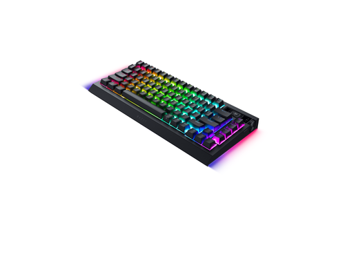 BlackWidow V4 Pro 75 [2024) Render(02).2