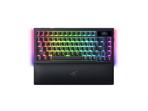 BlackWidow V4 Pro 75 [2024) WR Render(01).png