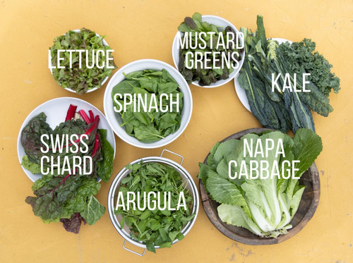 salad2409