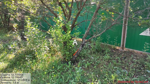 IMG 2560.1