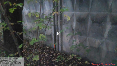 IMG 2562.1