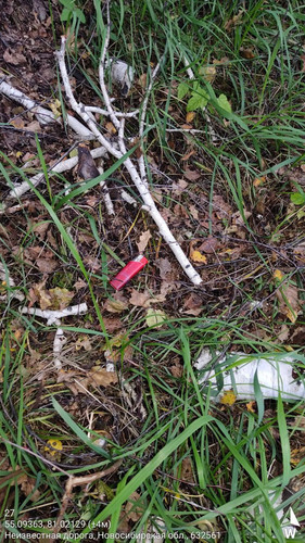  5420241138801041721 121.jpg