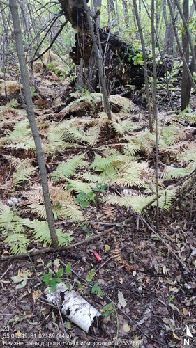  5420241138801041728 121.jpg