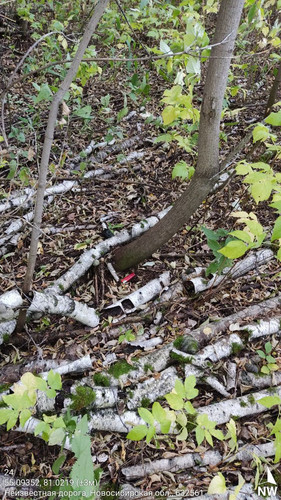  5420241138801041726 121.jpg