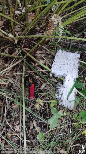  5420241138801041731 121.jpg