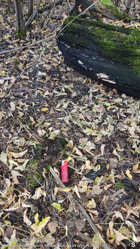  5420241138801041739 121.jpg