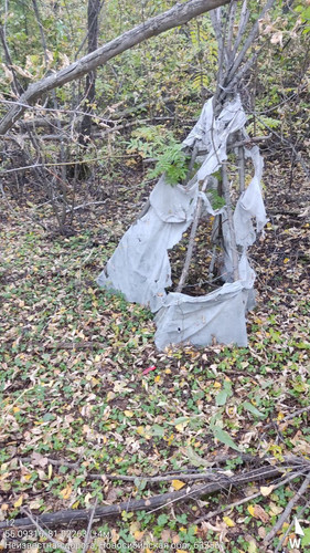  5420241138801041750 121.jpg