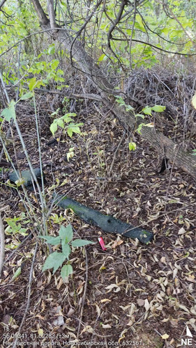  5420241138801041742 121.jpg